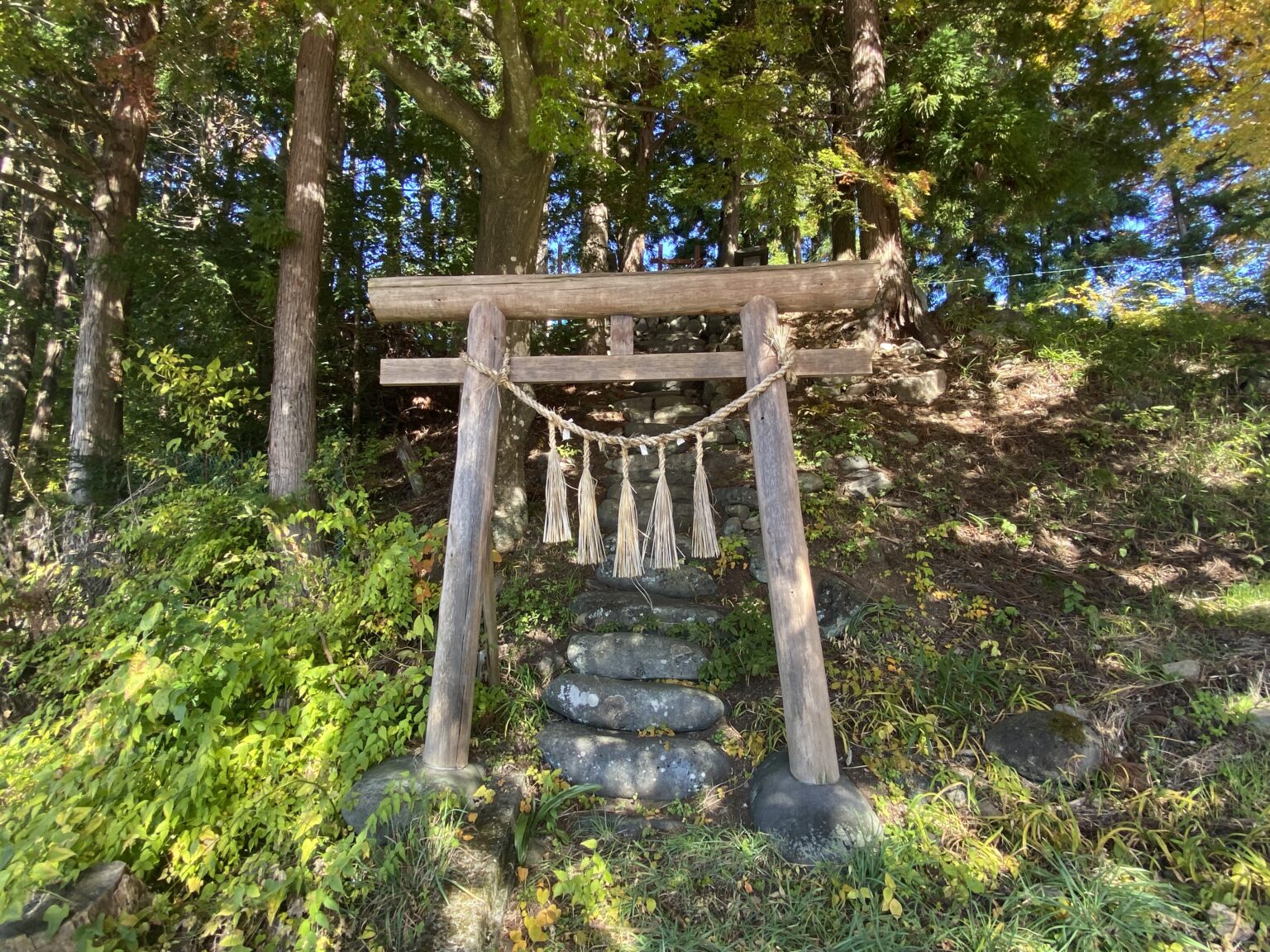 ビデオには、危険に直面した装甲スパイダーの戦闘儀式が示されています