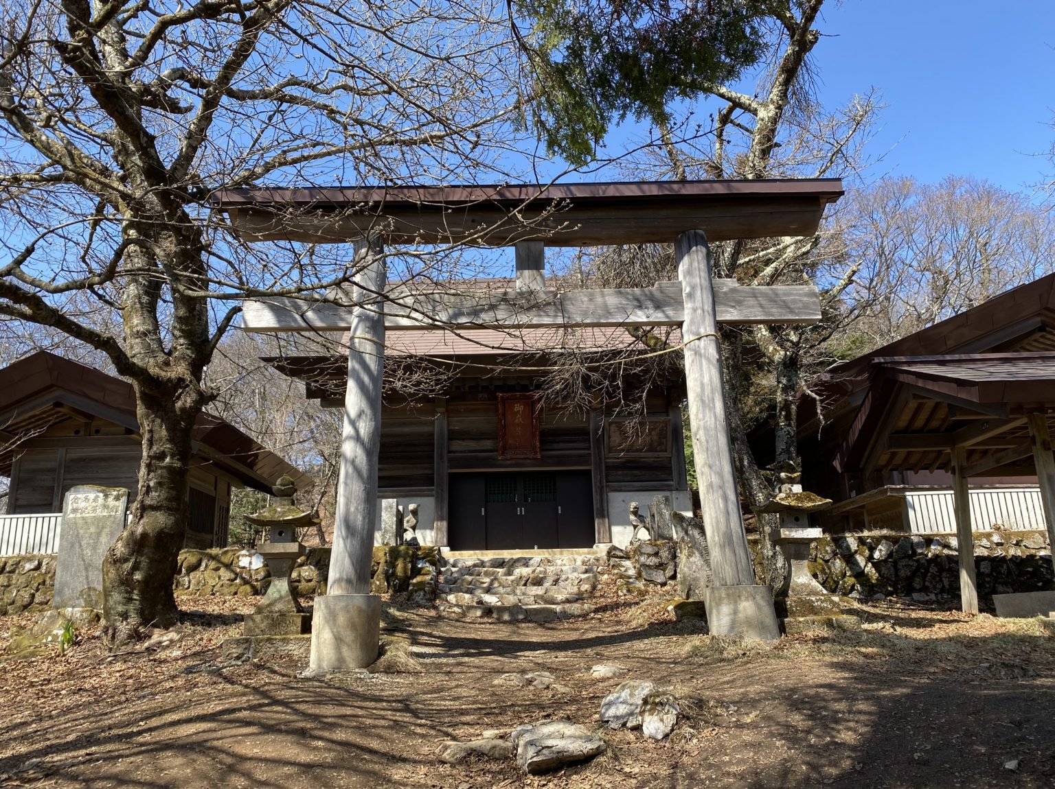 ジャイアントウサギ:巨大で優しいウサギ