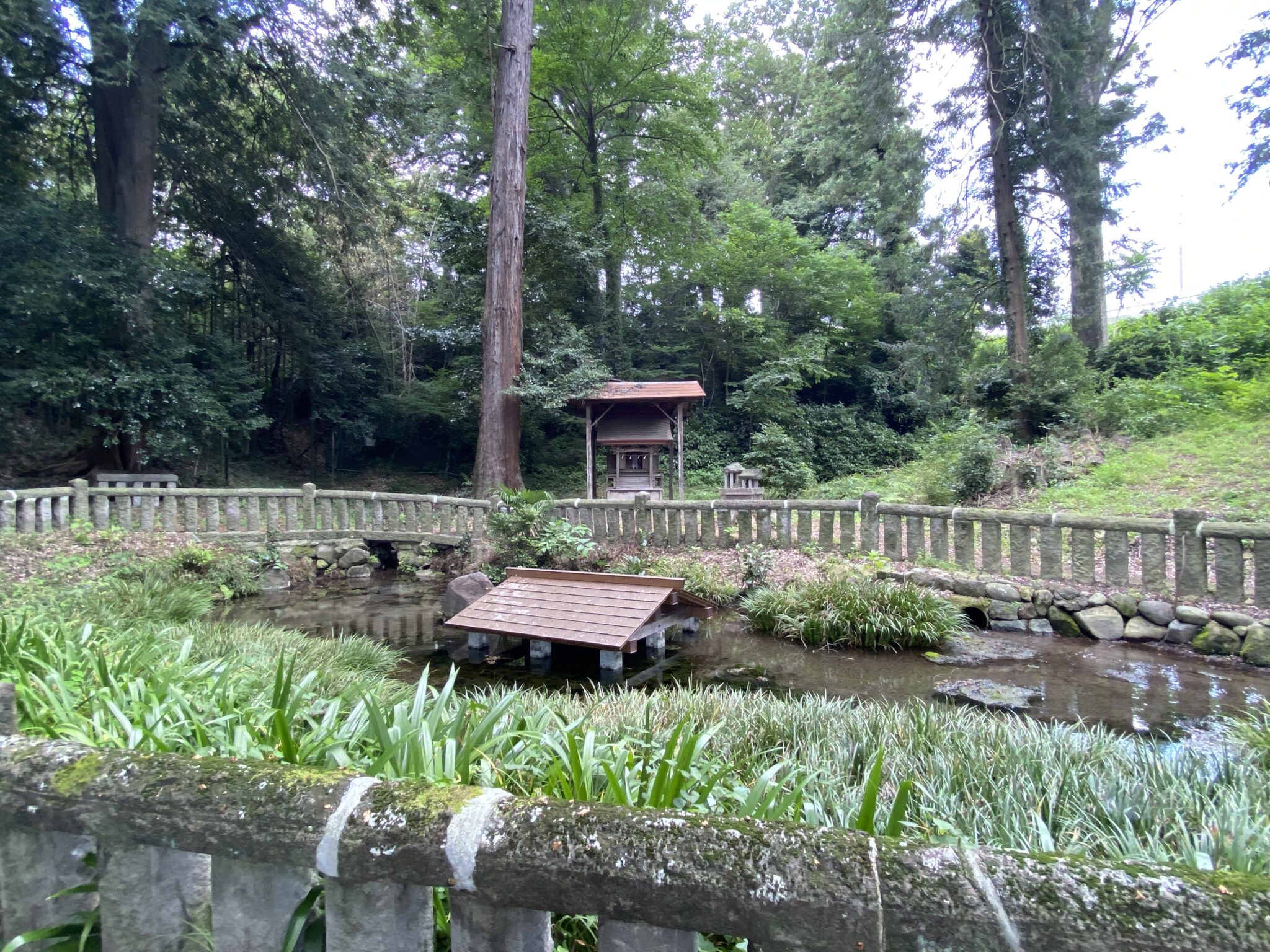 1500万年続いた「先史時代のパンデミック」が今も響く