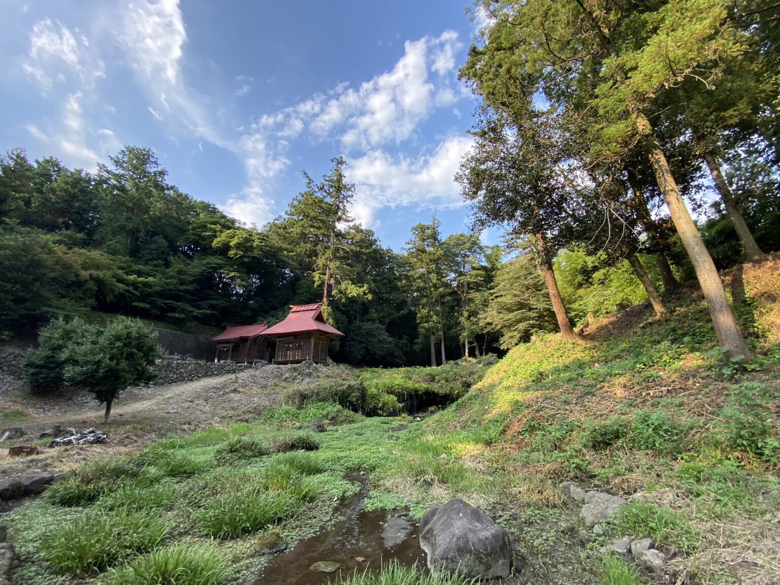 内因性レトロウイルスがどのように機能するかを評価することは、人類が現代の病気に対処するのに役立つ可能性があります。 (出典: ゲッティイメージズ)