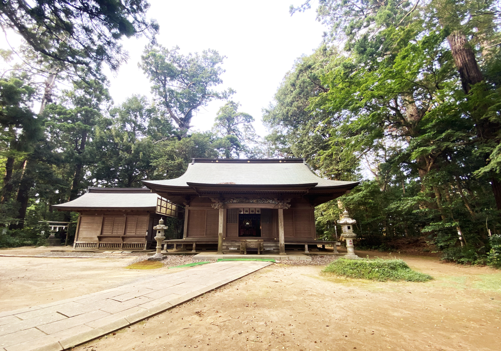 樹冠:その正体と重要性